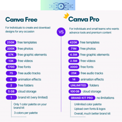 Upgrade to Canva Pro for Professional-  1-Month