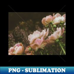 peonies blooming romantic photo - decorative sublimation png file - revolutionize your designs