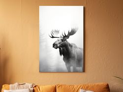 high contrast black and white photograph art of a large moose ,canvas wrapped on pine frame