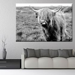 bull canvas, bull photo, bull poster, wild bull canvas, horned bull, animal print wall canvas, animal photo print, black