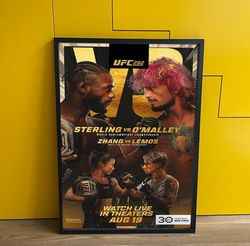 UFC 292 Poster, Aljamain Sterling vs Sean O'Malley Fight Poster, 2023 UFC 292 Poster, UFC Fan Gift