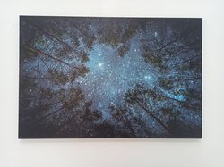 starry sky wall art, night sky landscape, night view canvas, forest landscape decor, living room wall art, home decor, f