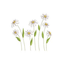 Daisy Flowers Machine Embroidery Design, 4 sizes, Instant Download