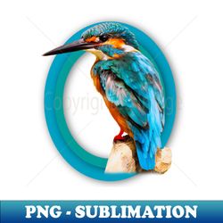 Common Kingfisher - Stylish Sublimation Digital Download - Unlock Vibrant Sublimation Designs