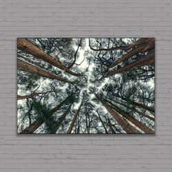 Tree Branch Print, Abstract Tree Large Canvas, Forest Print Tree Wall Art, Forest Wall Art Trees Canvas Print Extra Larg