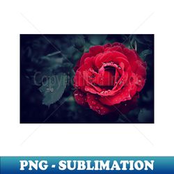 rose - Instant PNG Sublimation Download - Enhance Your Apparel with Stunning Detail