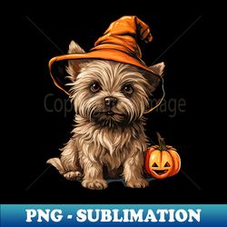 cairn terrier halloween with pumpkin and hat - premium png sublimation file - vibrant and eye-catching typography