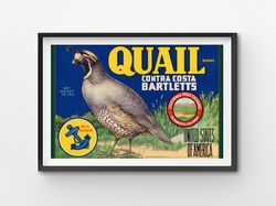 1919 Quail Pears POSTER! (up to 24 x 36) - Kitchen - Decor - Bartlett - Fruit - Label - Farm House - USA
