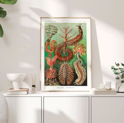Worms Vintage Poster, 1904 - Haeckel Prints, Annelids Chaetopoda Poster, Nature Print, Marine wall art, Ocean Print, Bir