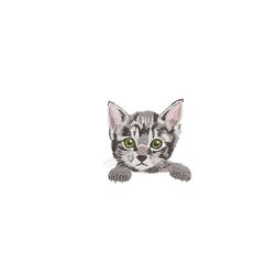 Cat Machine Embroidery Design. 4 Sizes. Pet Embroidery Design