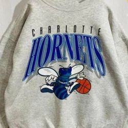 Vintage 90s Charlotte Hornets Looney Tunes Shirt , 90s Bootleg, T-Shirt Retro Style Sweatshirt Crewneck, fan gift, Charl