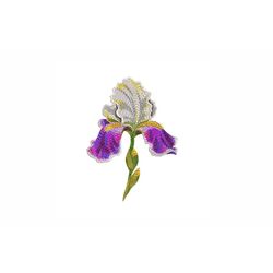 Iris Flower Machine Embroidery Design. 4 Sizes. Iris Embroidery Design