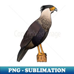 Crested caracara bird cartoon illustration - Retro PNG Sublimation Digital Download - Boost Your Success with this Inspirational PNG Download