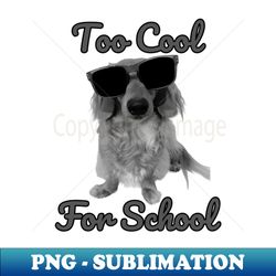 Too Cool For School - Special Edition Sublimation PNG File - Defying the Norms