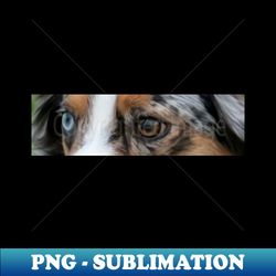miniature american shepherd eyes blue merle - High-Quality PNG Sublimation Download - Instantly Transform Your Sublimation Projects