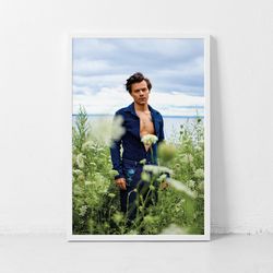 Harry Styles Poster Classic Retro Rock Vintage Wall Art Print Decor Canvas Poster-1