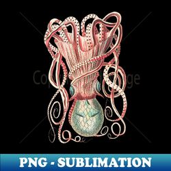 Octopus - 06 - Black - Vintage Drawing - High-Quality PNG Sublimation Download - Perfect for Personalization