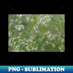 beautiful white wild flowers - Trendy Sublimation Digital Download - Vibrant and Eye-Catching Typography