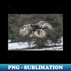 Eagle in the snow - Stylish Sublimation Digital Download - Perfect for Sublimation Art