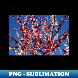 Spring Blossom - Creative Sublimation PNG Download - Unleash Your Creativity