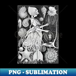 sangfleurs part VIII a mermaids song - Creative Sublimation PNG Download - Stunning Sublimation Graphics