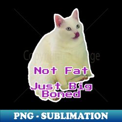 Funny fat cat funny cat fat cat kitty white cat big cat meme joke funny saying quote photography by Jamie Lynn Hand - PNG Transparent Sublimation Design - Unlock Vibrant Sublimation Designs