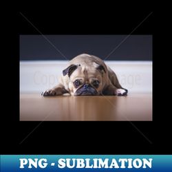 Pug laying flat - Decorative Sublimation PNG File - Defying the Norms