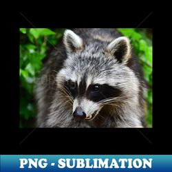 Raccoon - PNG Transparent Sublimation Design - Unlock Vibrant Sublimation Designs