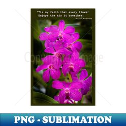 Orchid Beauty - Unique Sublimation PNG Download - Add a Festive Touch to Every Day