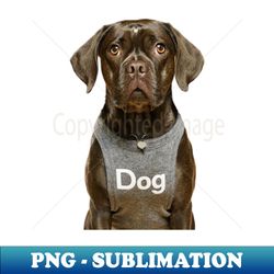 Dog funny - Aesthetic Sublimation Digital File - Add a Festive Touch to Every Day