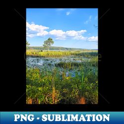 Marsh at Massabesic - Premium Sublimation Digital Download - Stunning Sublimation Graphics