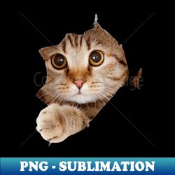 cute cats - Retro PNG Sublimation Digital Download - Boost Your Success with this Inspirational PNG Download