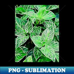 philodendron birkin - Decorative Sublimation PNG File - Create with Confidence
