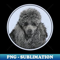 poodle miniature toy black dog art - instant sublimation digital download - unleash your inner rebellion