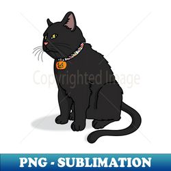 Black cat sees you - Decorative Sublimation PNG File - Unleash Your Creativity