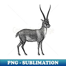 Antelope - High-Resolution PNG Sublimation File - Perfect for Sublimation Art