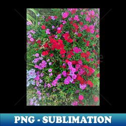 all color flowers photography my - png transparent sublimation design - unleash your creativity