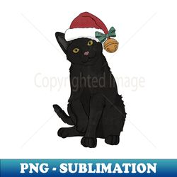 Merry Christmas from the Santa Cat - Aesthetic Sublimation Digital File - Add a Festive Touch to Every Day