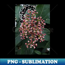 tiny flowers photography my - sublimation-ready png file - enhance your apparel with stunning detail
