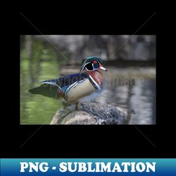 Wood duck perched on a log - Unique Sublimation PNG Download - Instantly Transform Your Sublimation Projects