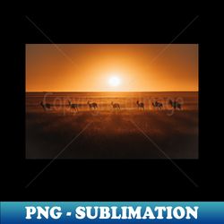 Safari Sunset - Exclusive PNG Sublimation Download - Bold & Eye-catching