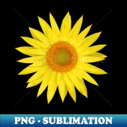 Everlasting Daisy or Strawflower - Special Edition Sublimation PNG File - Instantly Transform Your Sublimation Projects