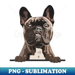 Cute French Bulldog Face - Artistic Sublimation Digital File - Capture Imagination with Every Detail