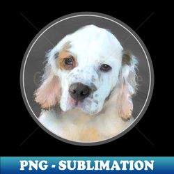 Clumber Spaniel Puppy - Trendy Sublimation Digital Download - Perfect for Creative Projects