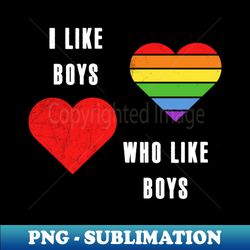 I like boys who like boys Shirt LGBT Pride Month Tee LGBTQ Supporter Gift Gay Pride Lesbian - Aesthetic Sublimation Digital File - Revolutionize Your Designs