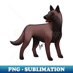 Dog - Belgian Malinois - Mahogany - Instant Png Sublimation Download - Stunning Sublimation Graphics