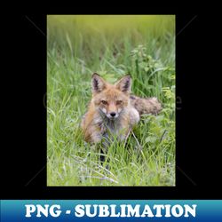 Red fox mama - Unique Sublimation PNG Download - Spice Up Your Sublimation Projects