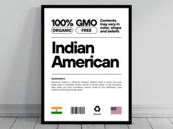 Indian American Unity Flag Canvas Mid Century Modern American Melting Pot Rustic Charming Indian Humor US Patriotic Wall
