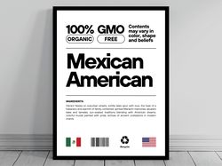 Mexican American Unity Flag Canvas Mid Century Modern American Melting Pot Rustic Charming Mexican Humor US Patriotic De