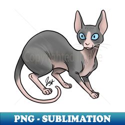 Cat - Sphinx Cat - Bi-Color - Elegant Sublimation PNG Download - Add a Festive Touch to Every Day